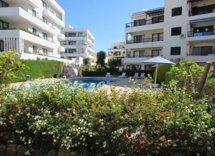 Кафе, ресторан за 790 000 евро в Пафосе, Кипр