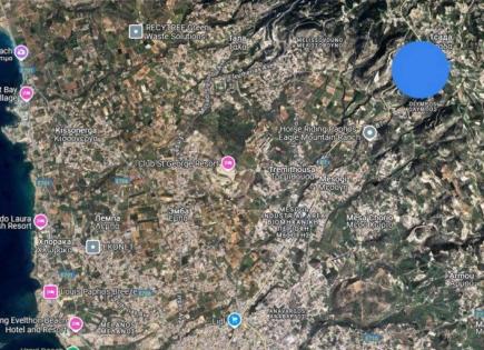 Кафе, ресторан за 220 000 евро в Пафосе, Кипр