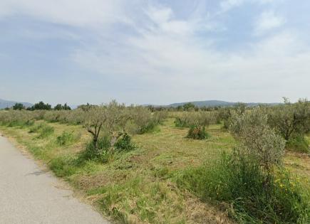 Земля за 220 000 евро в Салониках, Греция