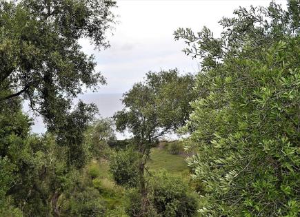 Земля за 500 000 евро на Корфу, Греция