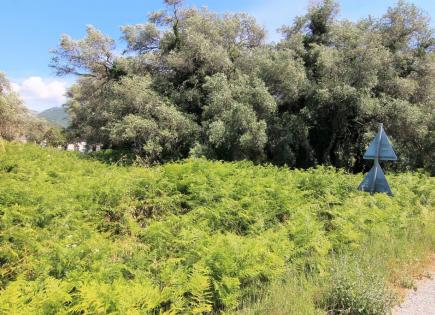 Земля за 250 000 евро на Корфу, Греция