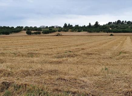 Земля за 350 000 евро на Кассандре, Греция