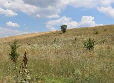 Земля за 200 000 евро в Салониках, Греция