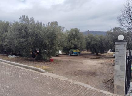 Земля за 270 000 евро в Ситонии, Греция