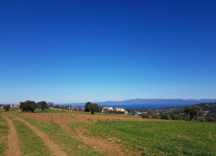 Земля за 350 000 евро на Кассандре, Греция