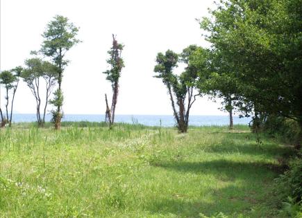 Земля за 270 000 евро на Халкидиках, Греция