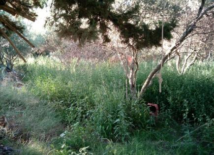 Земля за 250 000 евро в Афинах, Греция