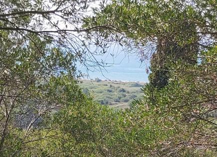 Земля за 300 000 евро на Корфу, Греция