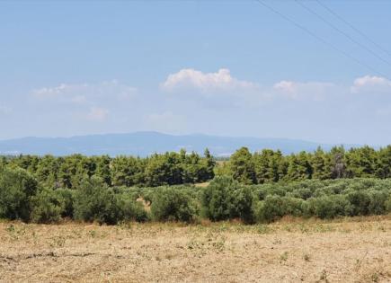 Земля за 300 000 евро на Кассандре, Греция