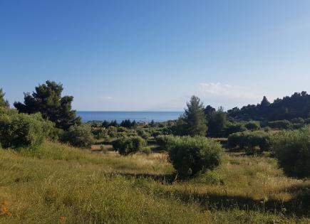 Земля за 250 000 евро на Кассандре, Греция