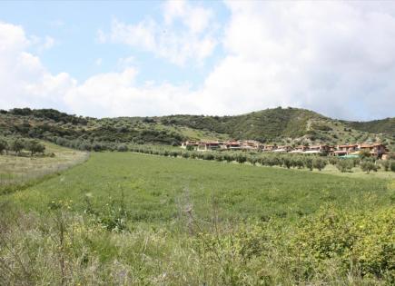 Земля за 800 000 евро на Кассандре, Греция