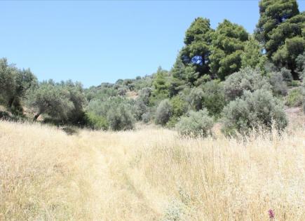 Земля за 280 000 евро в Ситонии, Греция