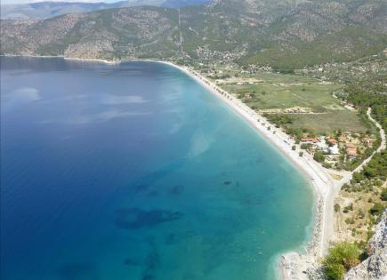 Земля за 500 000 евро в Аттике, Греция