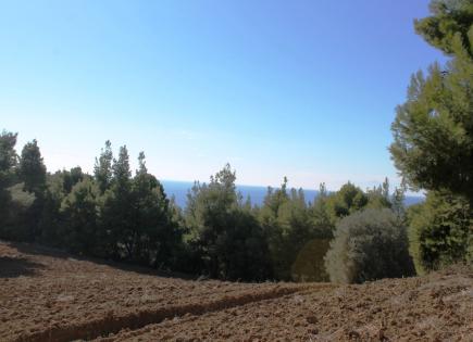 Земля за 1 000 000 евро на Кассандре, Греция