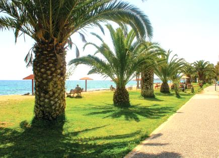 Земля за 500 000 евро в Аттике, Греция