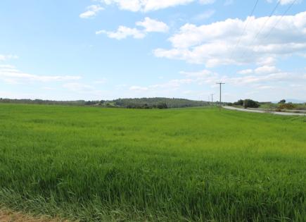 Земля за 300 000 евро на Кассандре, Греция