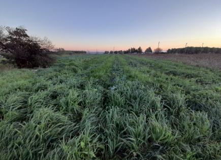 Земля за 160 000 евро в Салониках, Греция
