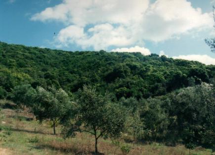 Земля за 490 000 евро на Корфу, Греция