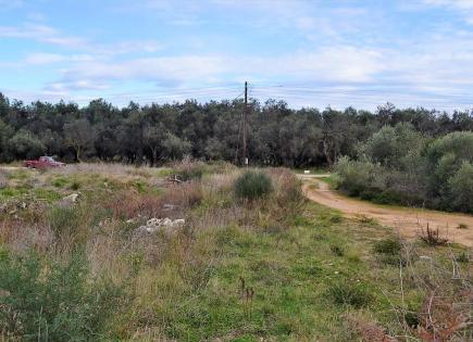 Земля за 160 000 евро на Корфу, Греция