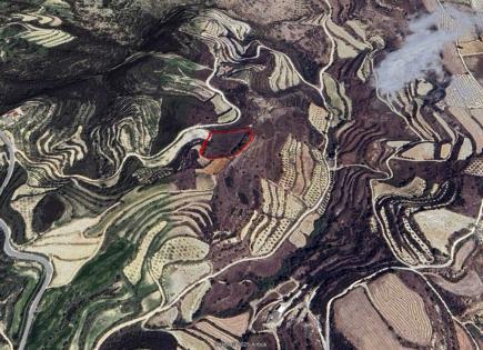 Земля за 425 000 евро в Пафосе, Кипр