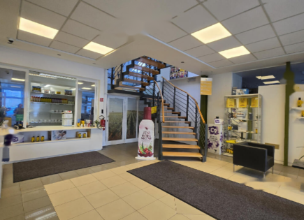 Офис за 1 000 000 евро в Любляне, Словения