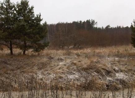 Земля за 690 000 евро в Рижском крае, Латвия