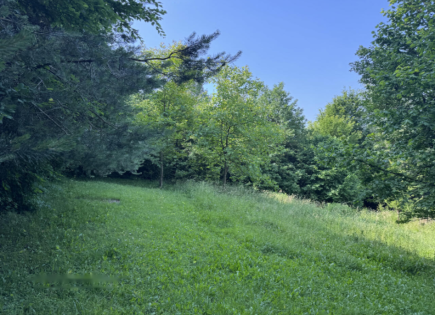 Земля за 550 000 евро в Любляне, Словения