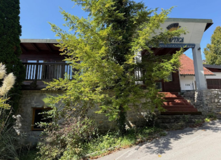 Офис за 890 000 евро в Любляне, Словения