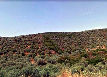 Земля за 170 000 евро на Халкидиках, Греция