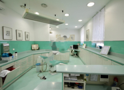 Офис за 350 000 евро в Любляне, Словения