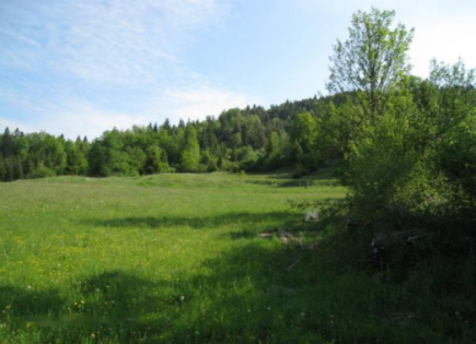 Ферма за 490 000 евро в Церкнице, Словения