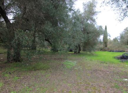 Земля за 250 000 евро на Корфу, Греция