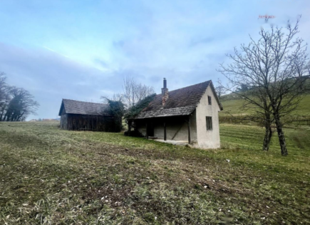 Дом за 63 000 евро в Литие, Словения