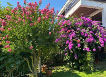 Дом за 1 600 000 евро в Опатии, Хорватия