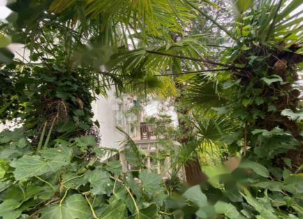 Дом за 1 050 000 евро в Опатии, Хорватия