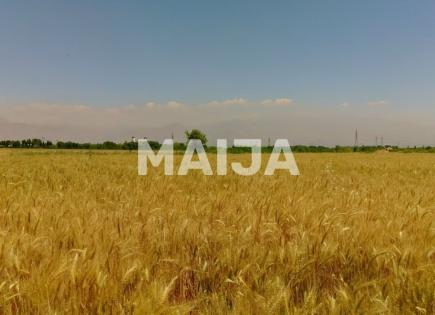 Земля за 19 500 000 евро в Румынии