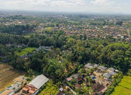 Земля за 260 000 евро в Убуде, Индонезия