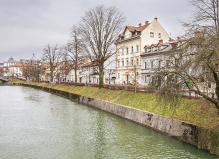 Дом за 1 889 000 евро в Любляне, Словения