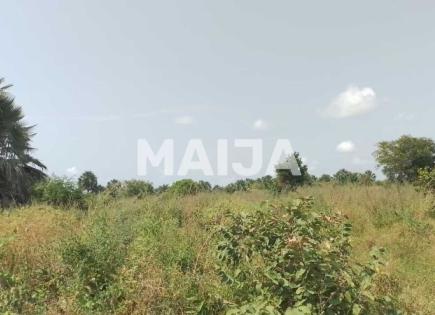 Земля за 29 629 евро в Гамбии