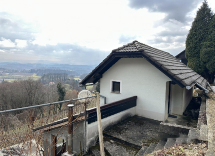 Дом за 65 000 евро в Луче, Словения