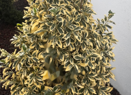 Квартира за 1 830 000 евро в Любляне, Словения