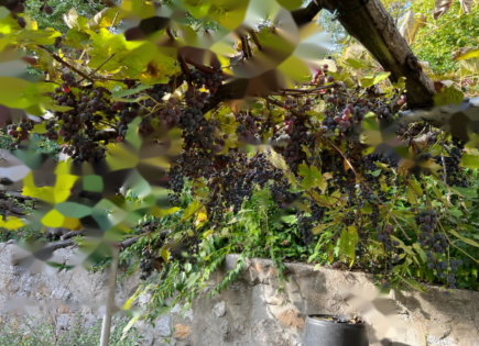 Квартира за 590 000 евро в Любляне, Словения