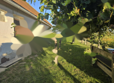 Дом за 59 900 евро в Рогашка-Слатине, Словения