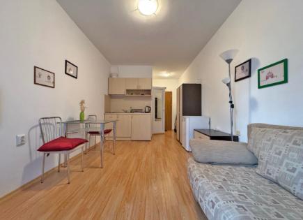 Студия за 50 000 евро на Солнечном берегу, Болгария