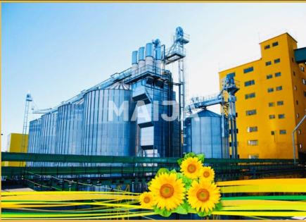 Производство за 12 000 000 евро в Румынии