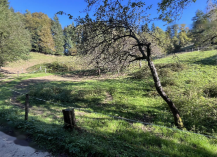 Земля за 32 441 евро в Кране, Словения