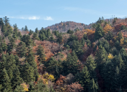 Земля за 14 960 евро в Есенице, Словения