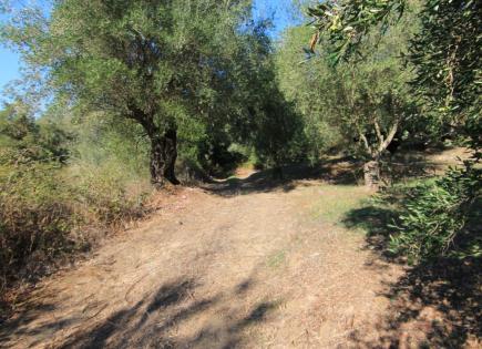 Земля за 200 000 евро на Корфу, Греция