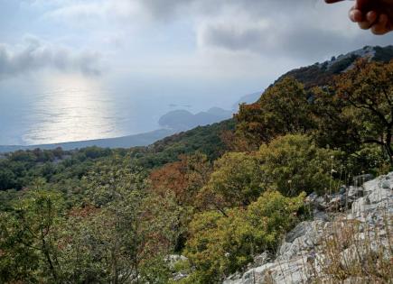 Земля за 451 500 евро в Булярице, Черногория