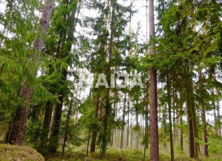 Земля за 49 440 евро в Латвии